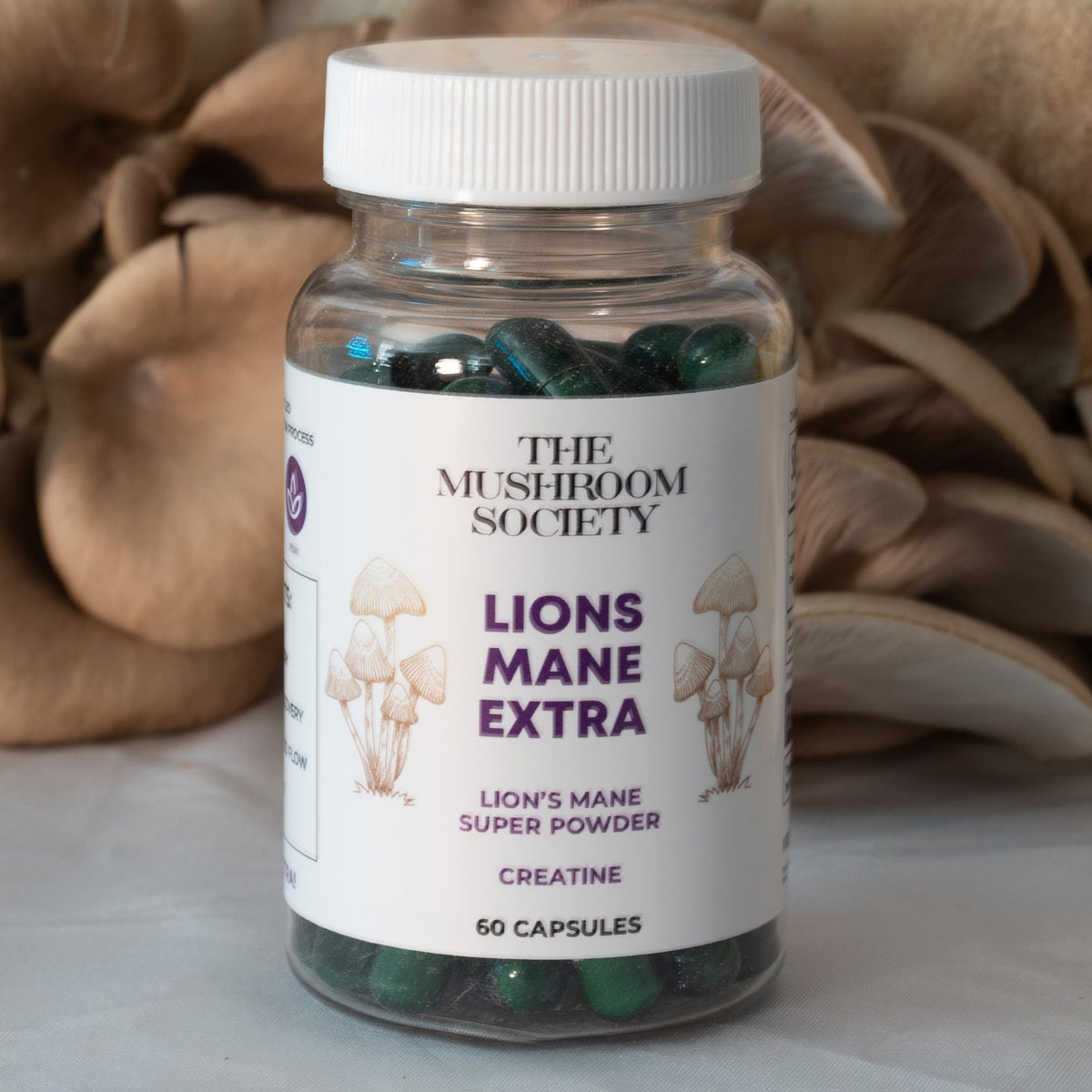 The Mushroom Society Lion’s Mane 1000 mg capsule with a measuring spoon
