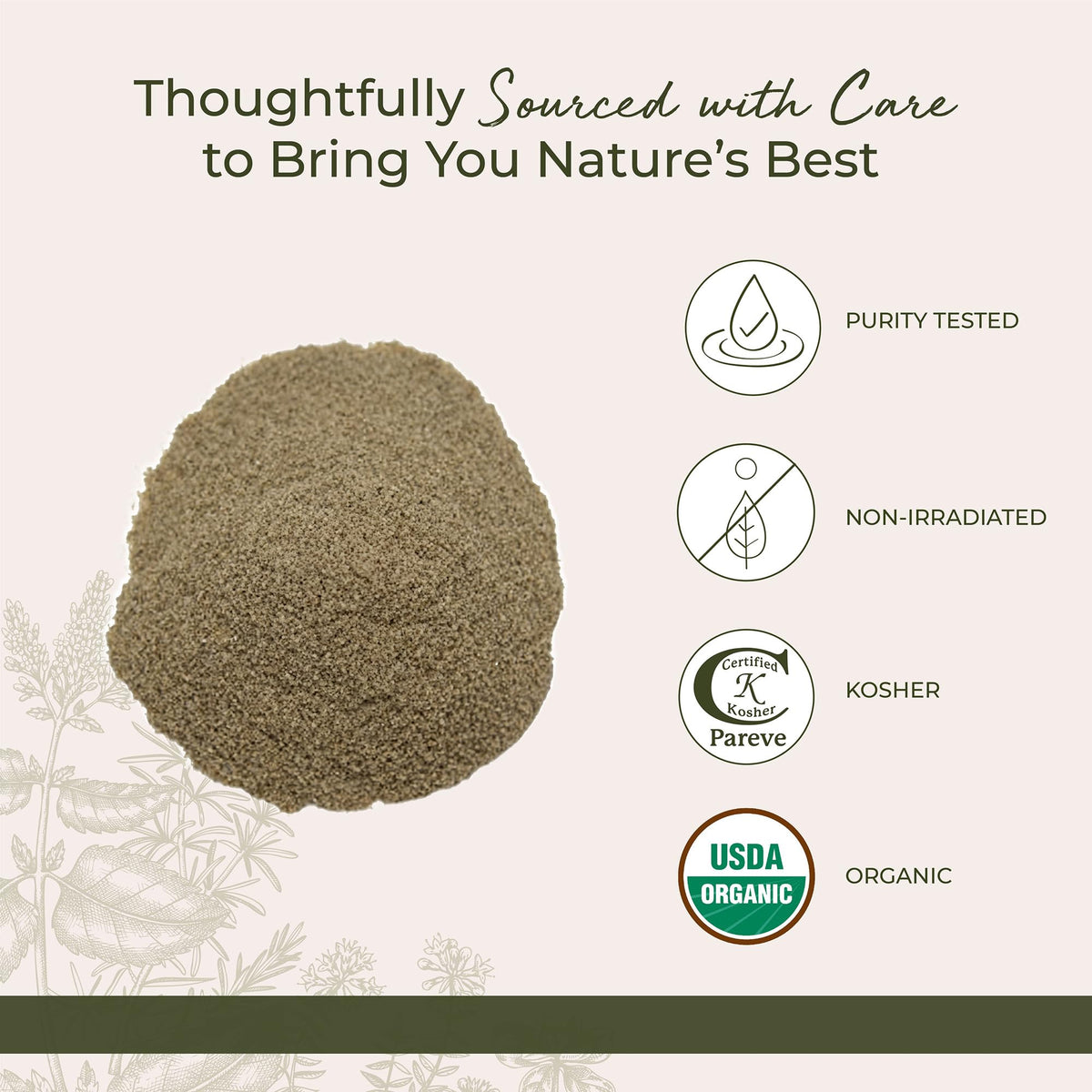 Thé préparé avec de la poudre d'échinacée purpurea bio