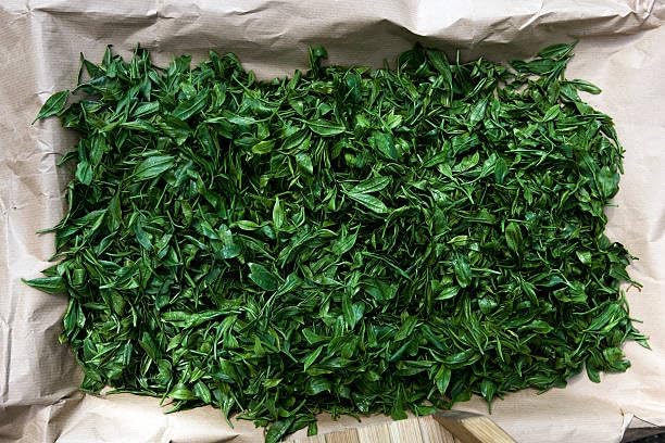 Thé vert Assam Long Leaf dans une théière