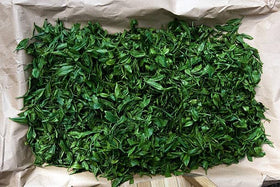 Thé vert Assam Long Leaf dans une théière