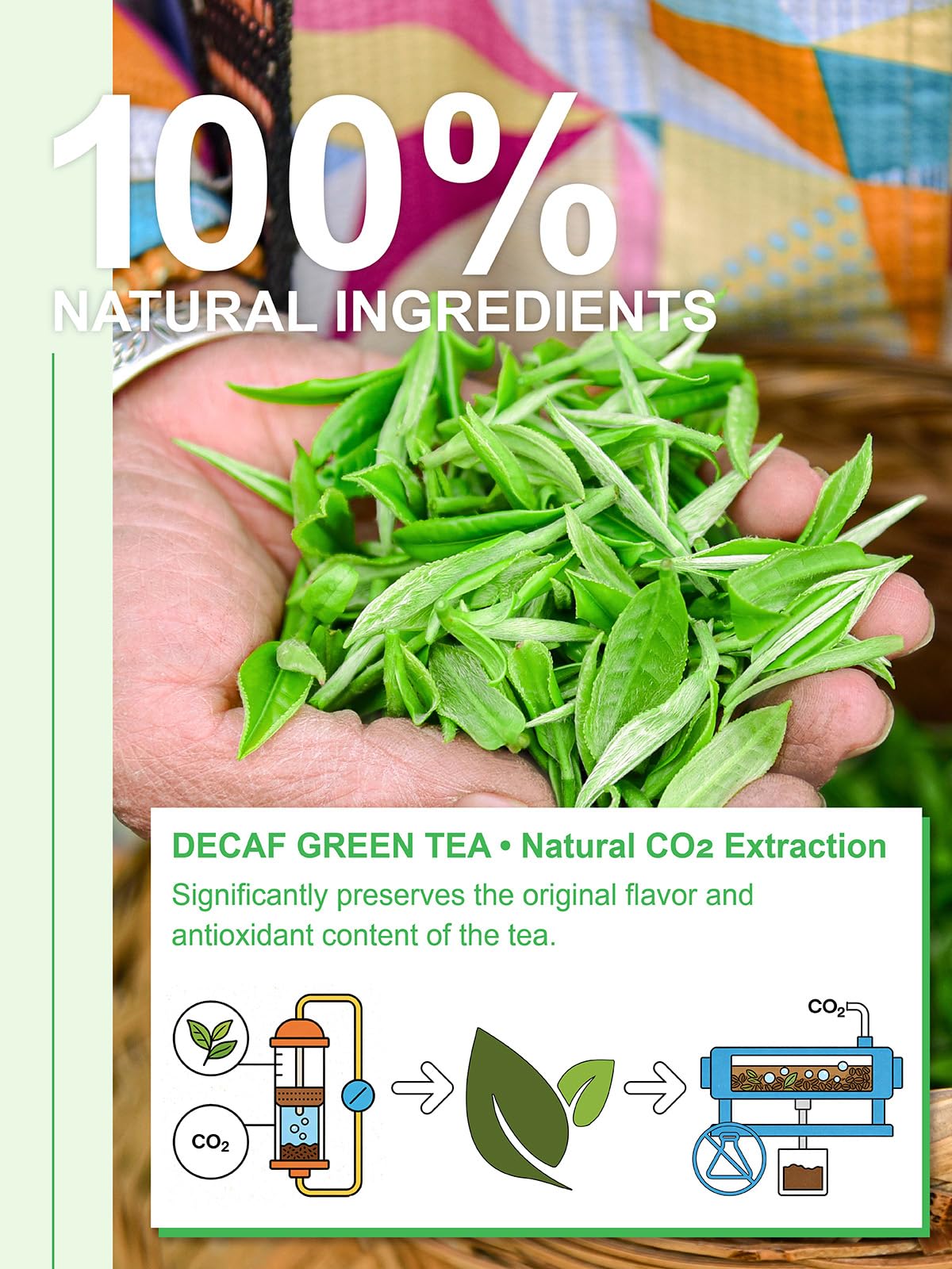 Thé vert décaféiné TeeLux infusé dans une tasse