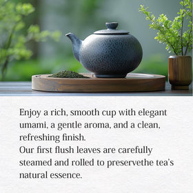 Thé vert Uji Sencha dans une tasse en porcelaine