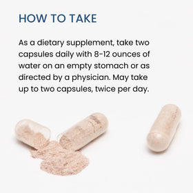 The Wellness Company Spike Support capsules on a table