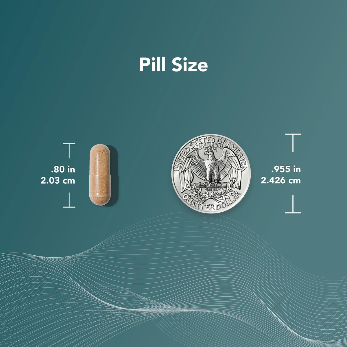 Theralogix AndroSyn capsules dans la main