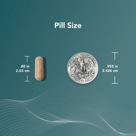 Theralogix AndroSyn capsules dans la main