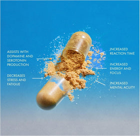 THEROOTBRANDS Root Wellness Zero-in côté de l'emballage
