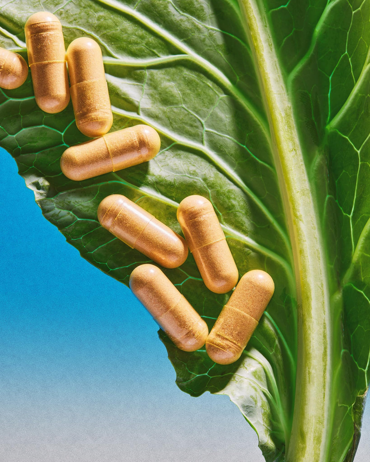 THEROOTBRANDS Root Wellness Zero-in présentation des ingrédients