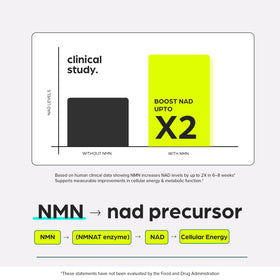 Thinbi Complément Alimentaire NMN & NAD+, prise d'une capsule