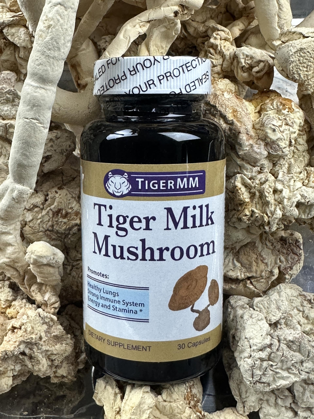 TIGERMM Champignon Lait de Tigre sur fond neutre