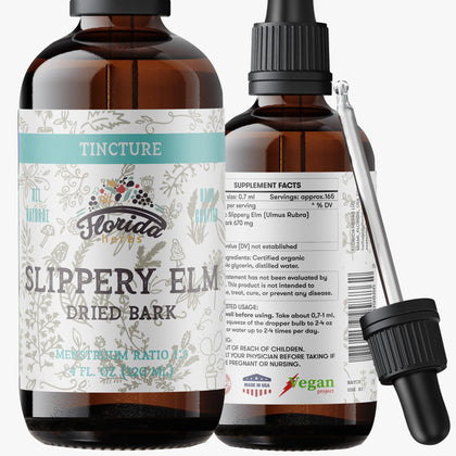 Tincture de Bouleau Glissant FLORIDA HERBS 120 ml vue avant