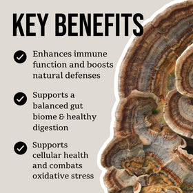 Tincture de Champignon Turkey Tail dans un verre avec de l'eau