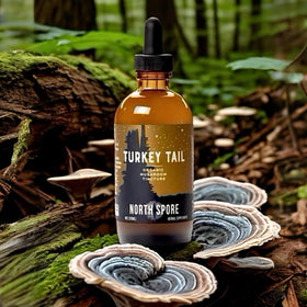 Tincture de Champignon Turkey Tail sur une table en bois