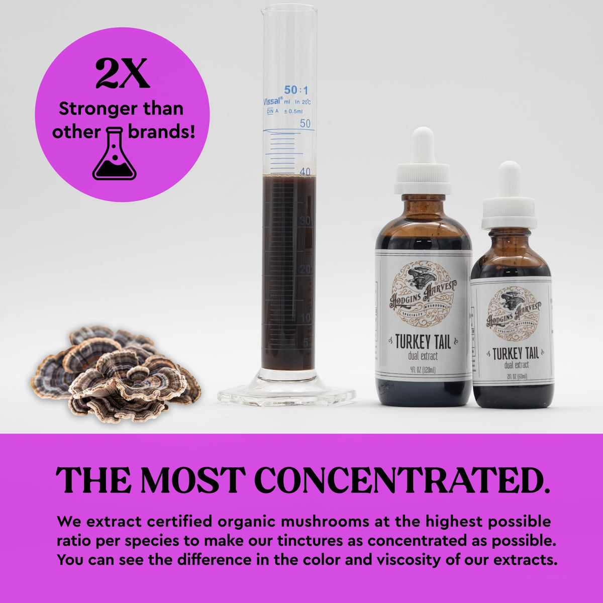 Tincture de champignon Turquie Hodgins Harvest avec goutte à goutte