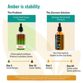 Tincture de Coque de Noyer Noir Zenmen avec compte-gouttes