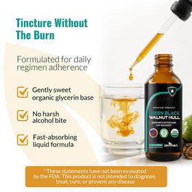 Tincture de Coque de Noyer Noir Zenmen en milieu de vie