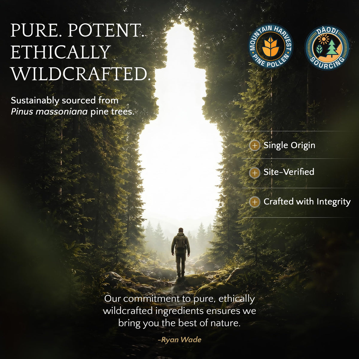 Tincture de Pollen de Pin Brut RAW avec dosage