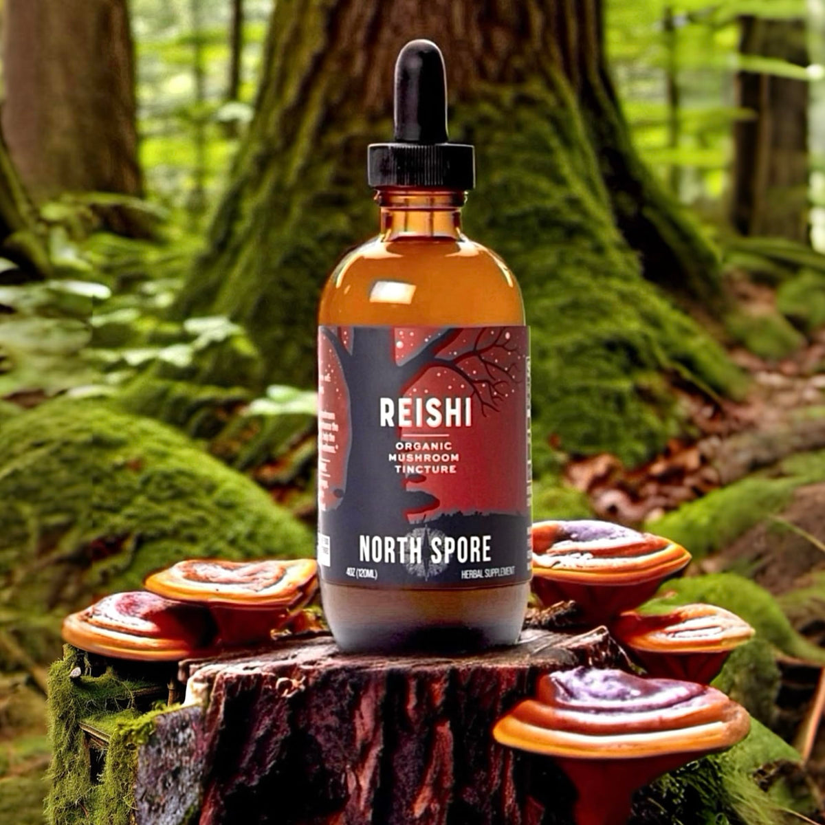 Tincture de Reishi Bio North Spore 60 ml avec compte-gouttes