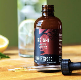 Tincture de Reishi Bio North Spore 60 ml en usage avec un verre