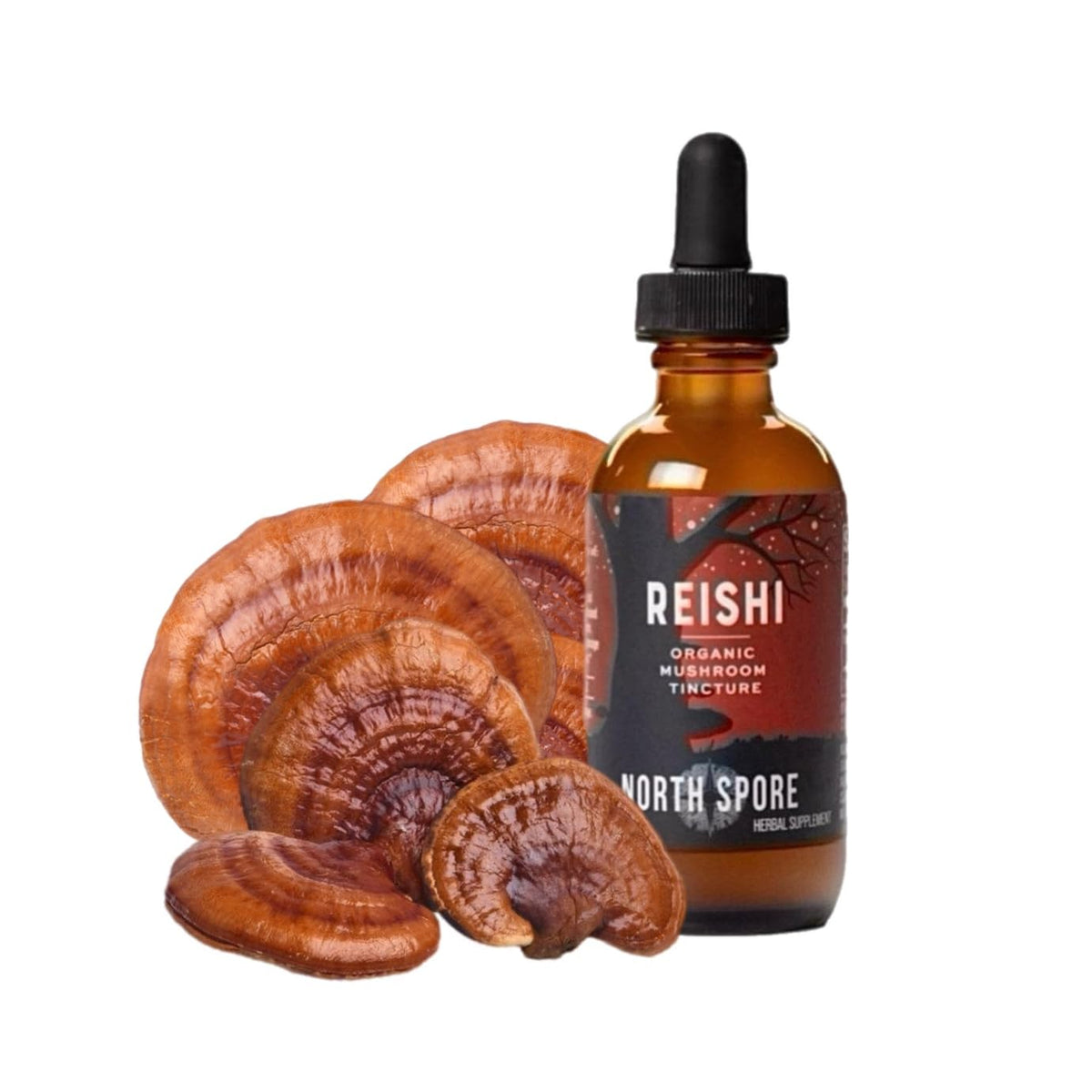 Tincture de Reishi Bio North Spore 60 ml vue avant
