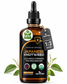 Tincture de Renouée Japonaise Zenmen 120ml vue avant