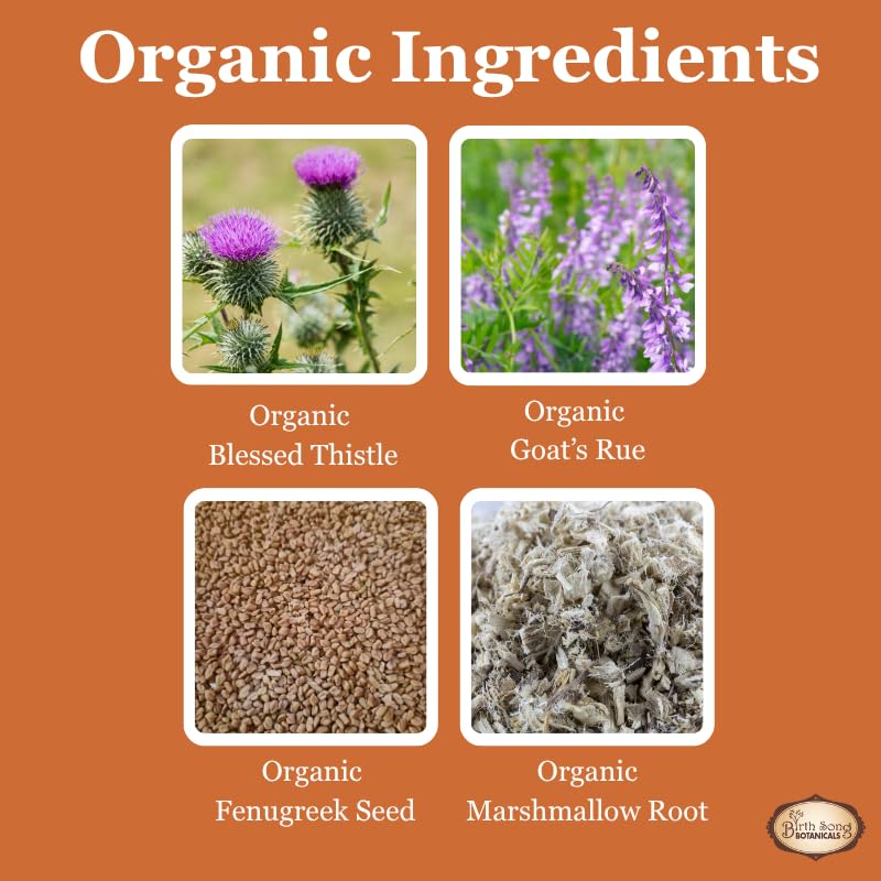 Tincture Lactation Birth Song Botanicals 30ml dans un cadre naturel