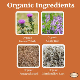 Tincture Lactation Birth Song Botanicals 30ml dans un cadre naturel