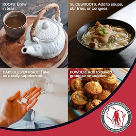 Tisane préparée avec de la racine de ginseng Panax rouge