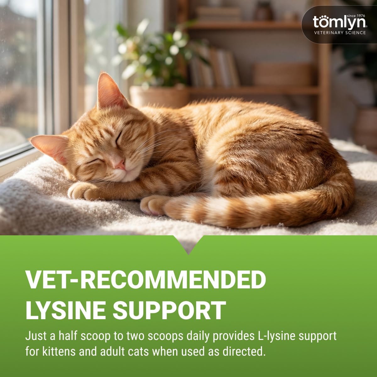 TOMLYN L-Lysine en poudre pour chats 132g - poudre à l'intérieur