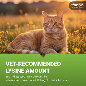 TOMLYN L-Lysine Gel Saveur Érable application sur le nez d'un chat