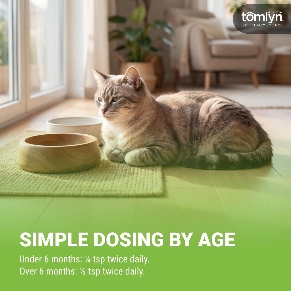 TOMLYN L-Lysine Gel Saveur Érable tube avec étiquette