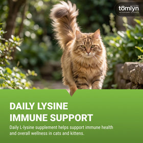 TOMLYN L-Lysine Gel Saveur Érable tube ouvert
