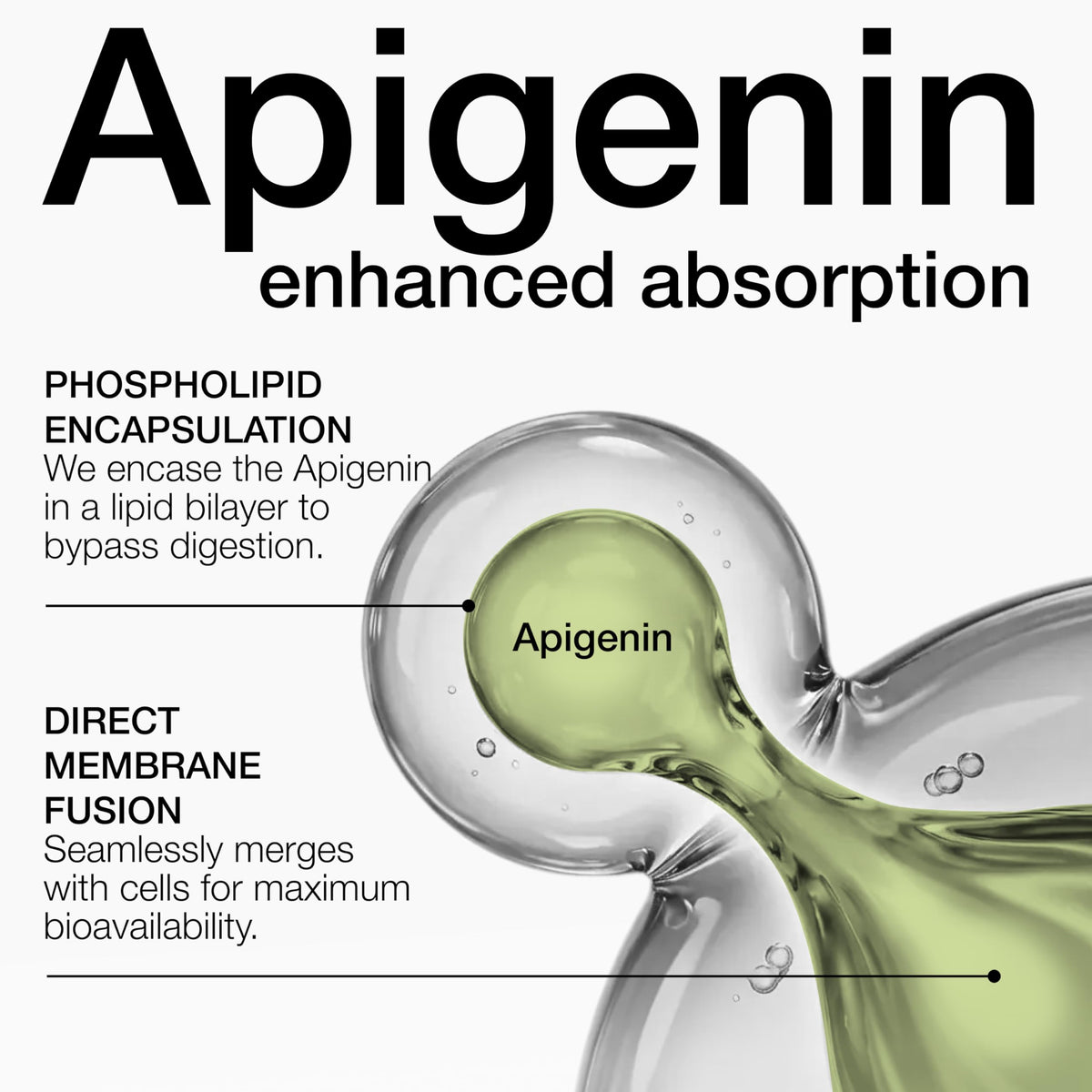 Toniiq Apigénine Liposomale 100mg côté gauche
