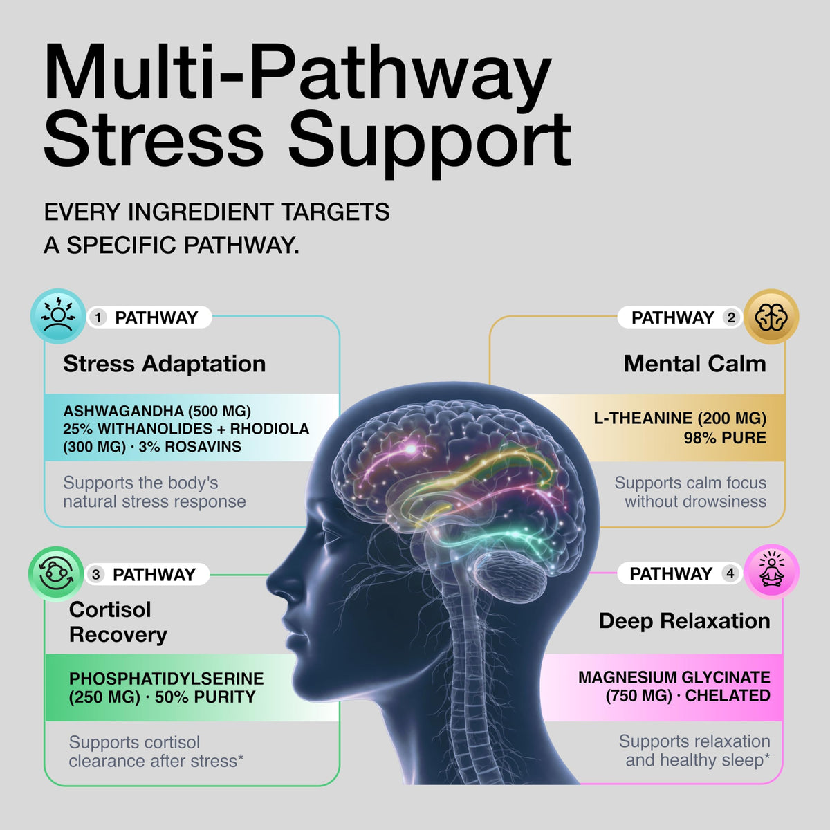 Toniiq Complément Cortisol 5-en-1, capsules dans une main