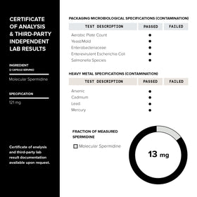 Toniiq spermidine 22mg prise quotidienne avec verre d'eau