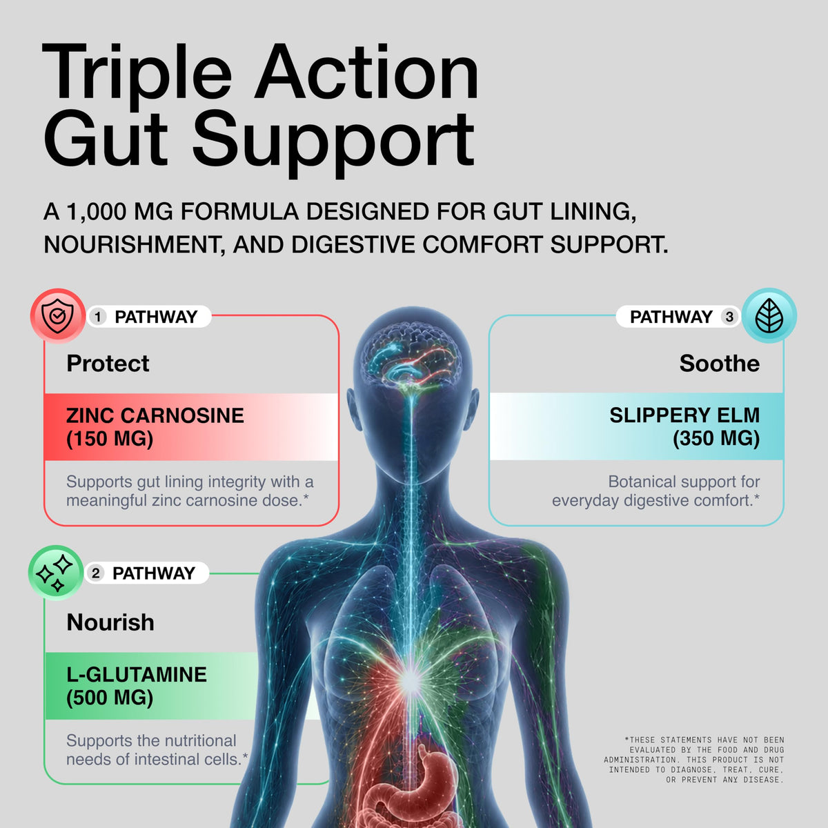 Toniiq Zinc Carnosine 1000mg gélules sur un fond naturel