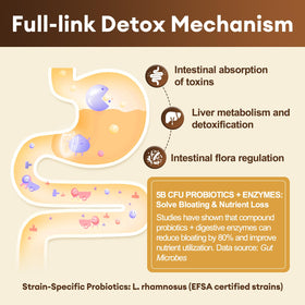 Totaria Complément Alimentaire Détox 2000MG 240 Capsules avec des plantes