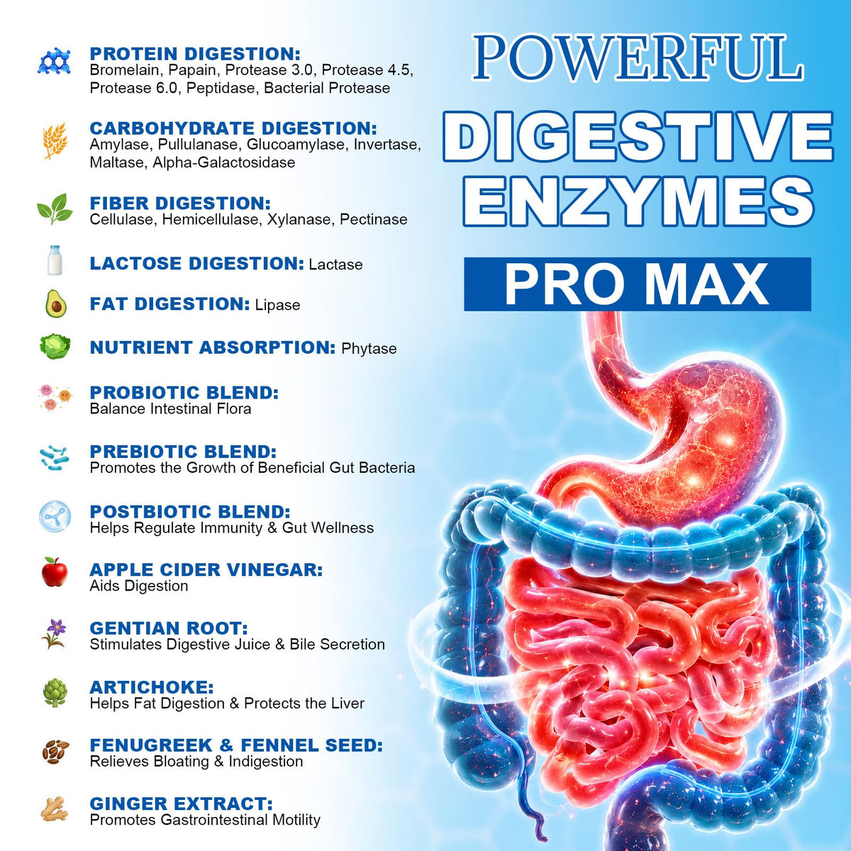 Totaria Enzymes daily 25-en-1, capsules dans une main
