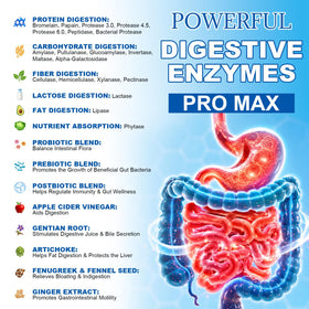 Totaria Enzymes daily 25-en-1, capsules dans une main