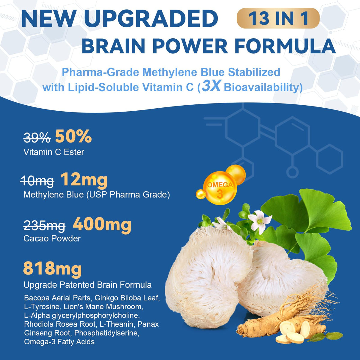 Totaria Formule Cérébrale 13 en 1 vue arrière avec ingrédients