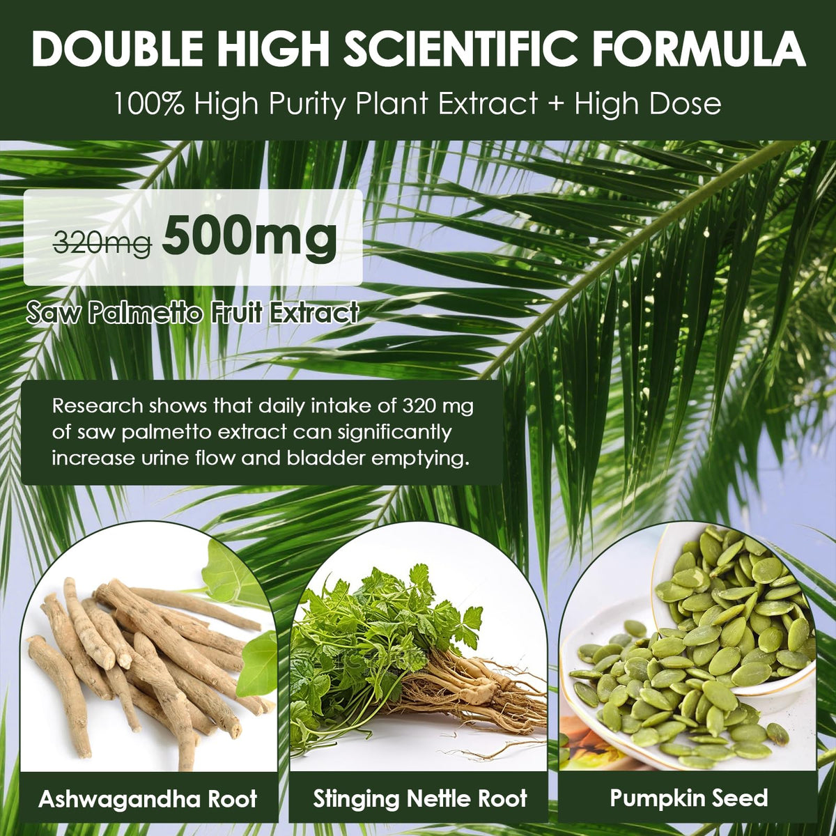 Totaria Saw Palmetto 500mg emballage et gélules