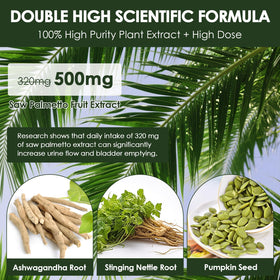 Totaria Saw Palmetto 500mg emballage et gélules