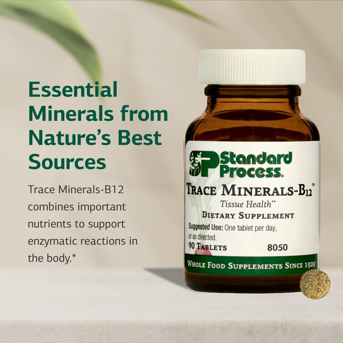 Trace Minerals-B12 de Standard Process Inc. côté de l'emballage