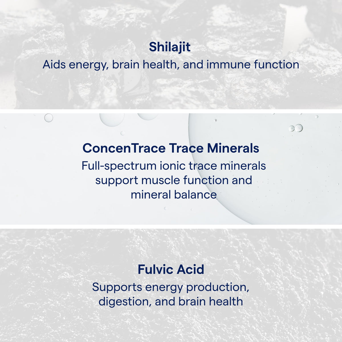 Trace Minerals Shilajit Honey Sticks avec thé