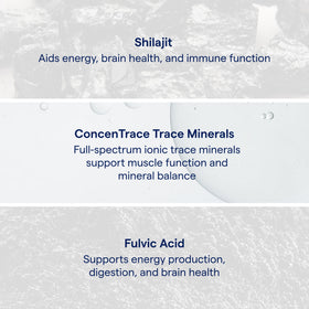Trace Minerals Shilajit Honey Sticks avec thé