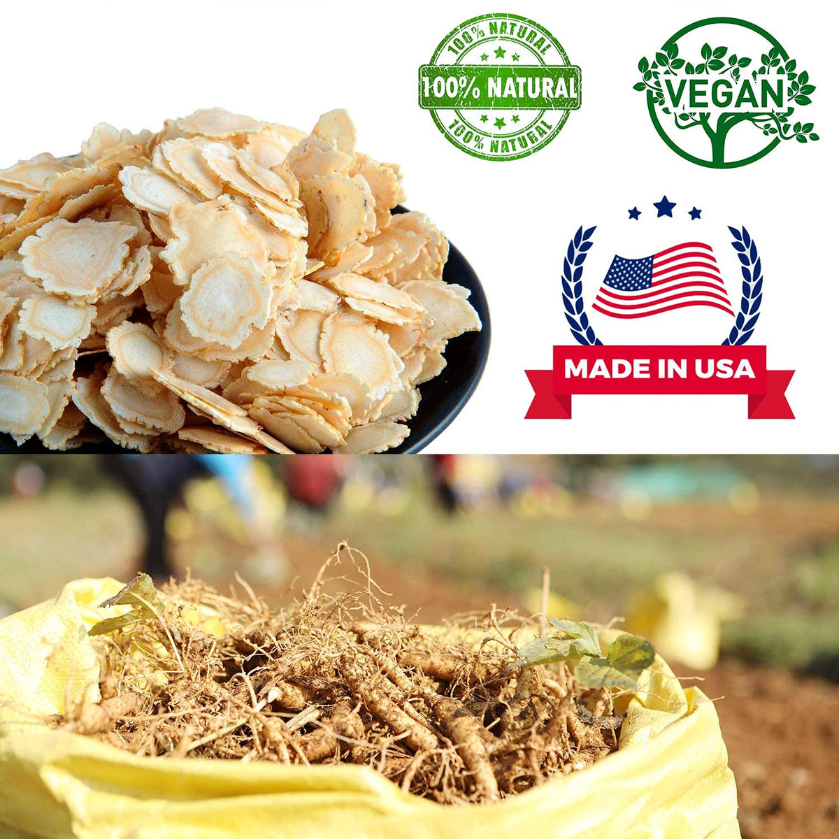 Tranches de ginseng DABC OAK LAND dans une tasse de thé