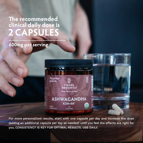 TRIBE ORGANICS Ashwagandha KSM-66 Bio 600mg capsules packaging