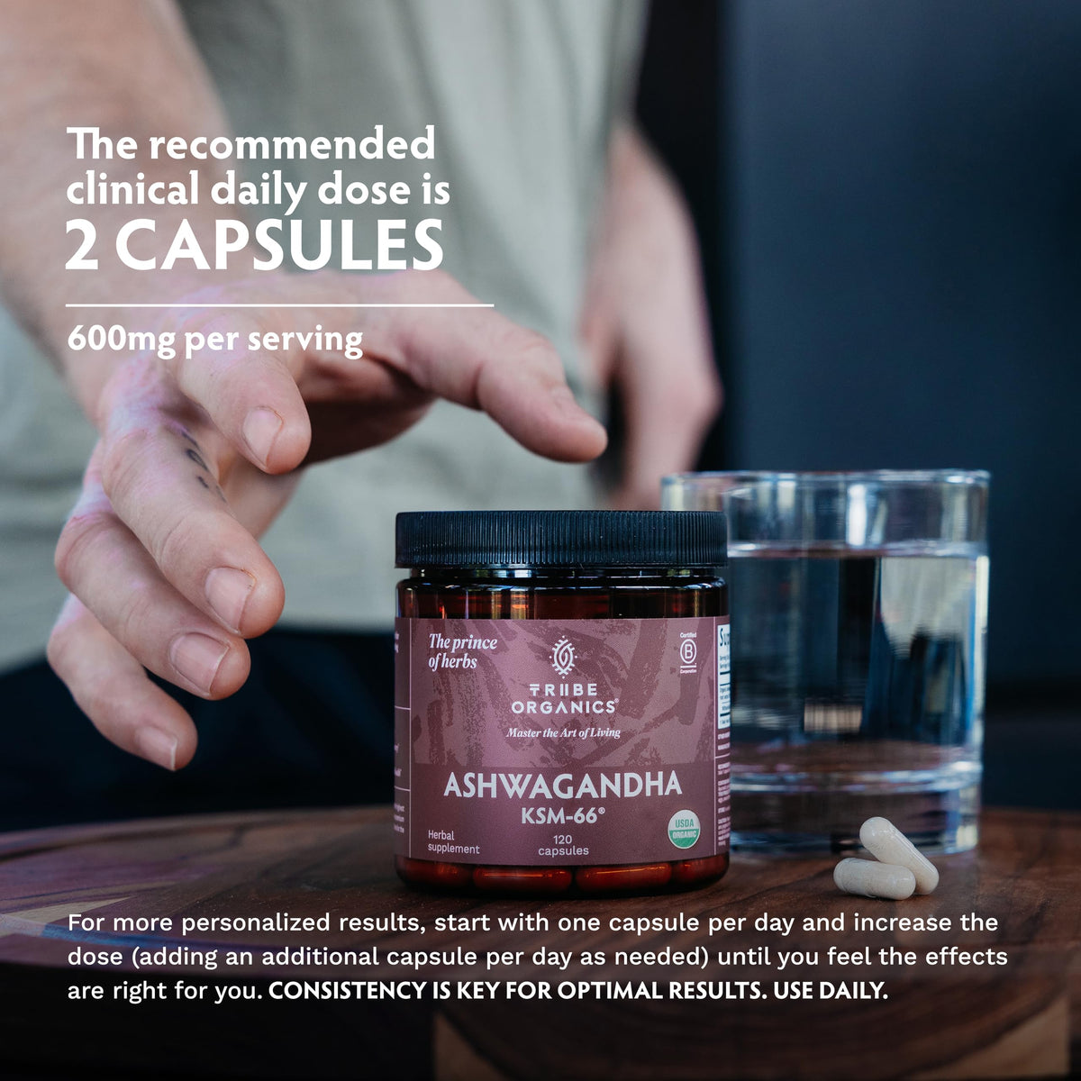 TRIBE ORGANICS Ashwagandha KSM 66 - étiquette et informations
