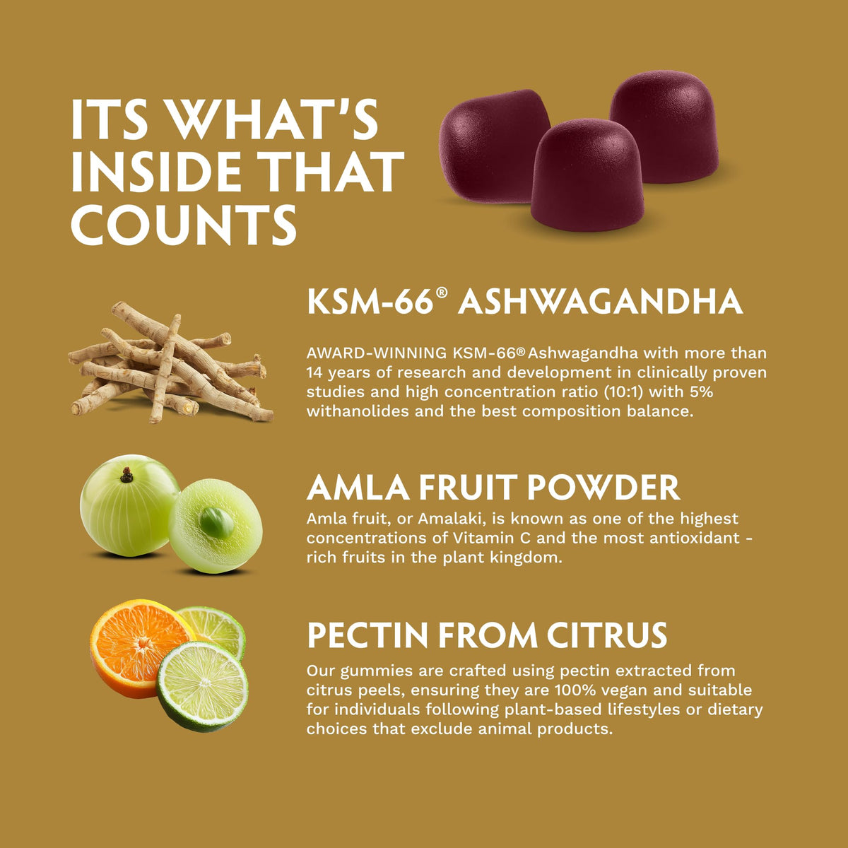 TRIBE ORGANICS Gummies Ashwagandha 60 unités ouvertes montrant les gummies