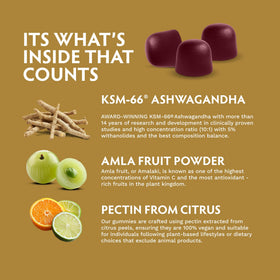 TRIBE ORGANICS Gummies Ashwagandha 60 unités ouvertes montrant les gummies