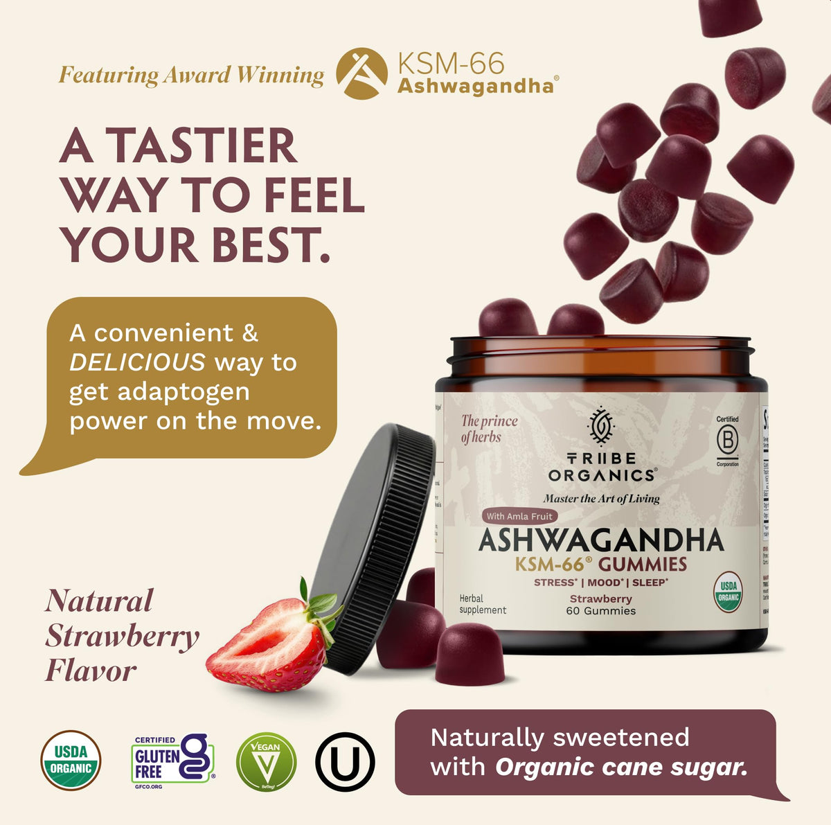 TRIBE ORGANICS Gummies Ashwagandha 60 unités pot arrière